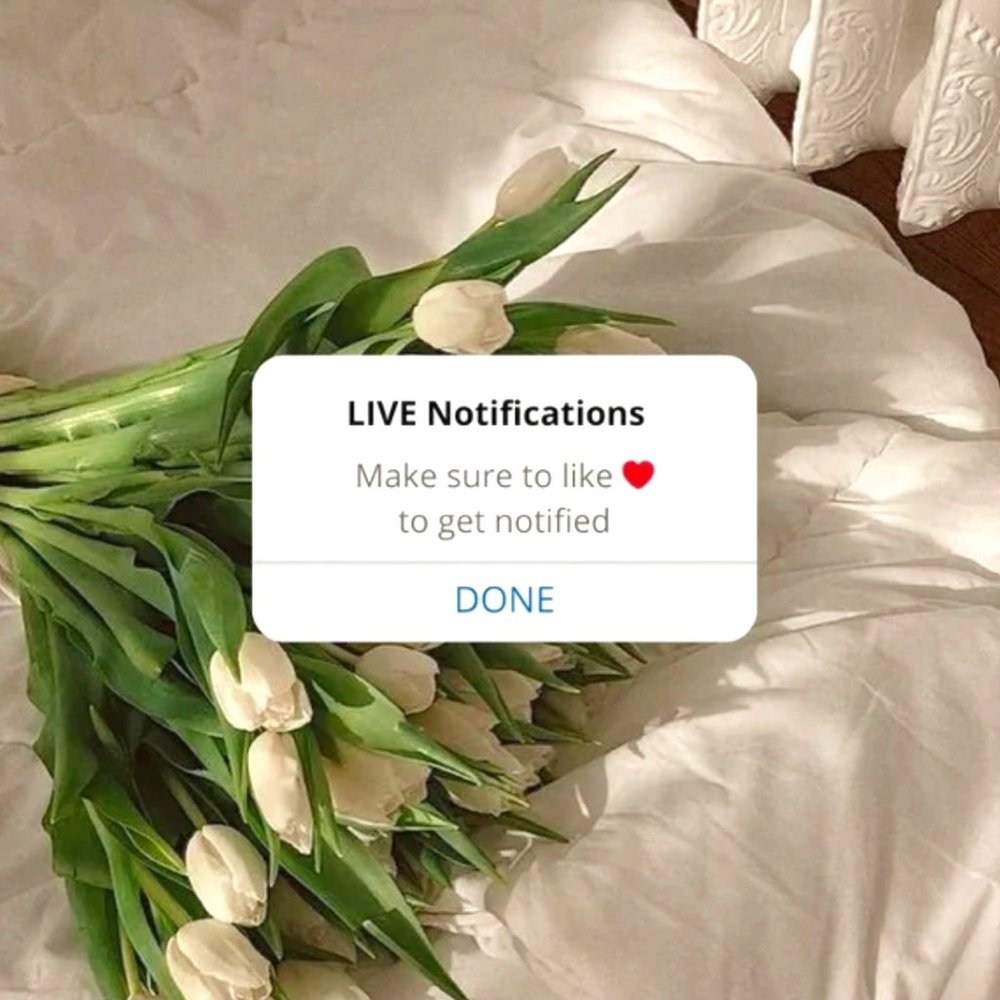 LIKE TO BE NOTIFIED OF FUTURE SHOWS